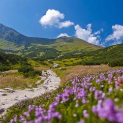 tatrzanskimi-szlakami-24