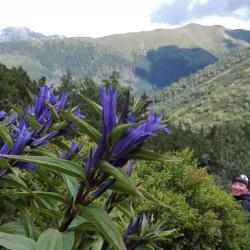 tatrzanskimi-szlakami-41