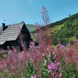 tatrzanskimi-szlakami-58